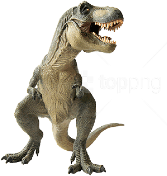 Free Png Download Dinosaur Standing Left Png Images - اسباب بازی دایناسور تیرکس (850x637), Png Download