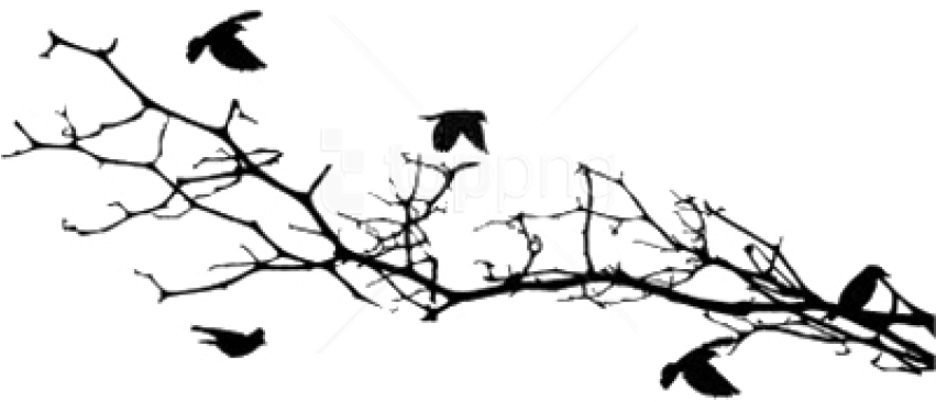 Free Png Download Bird Silhouettes On A Branch Png - Silhouette (850x425), Png Download