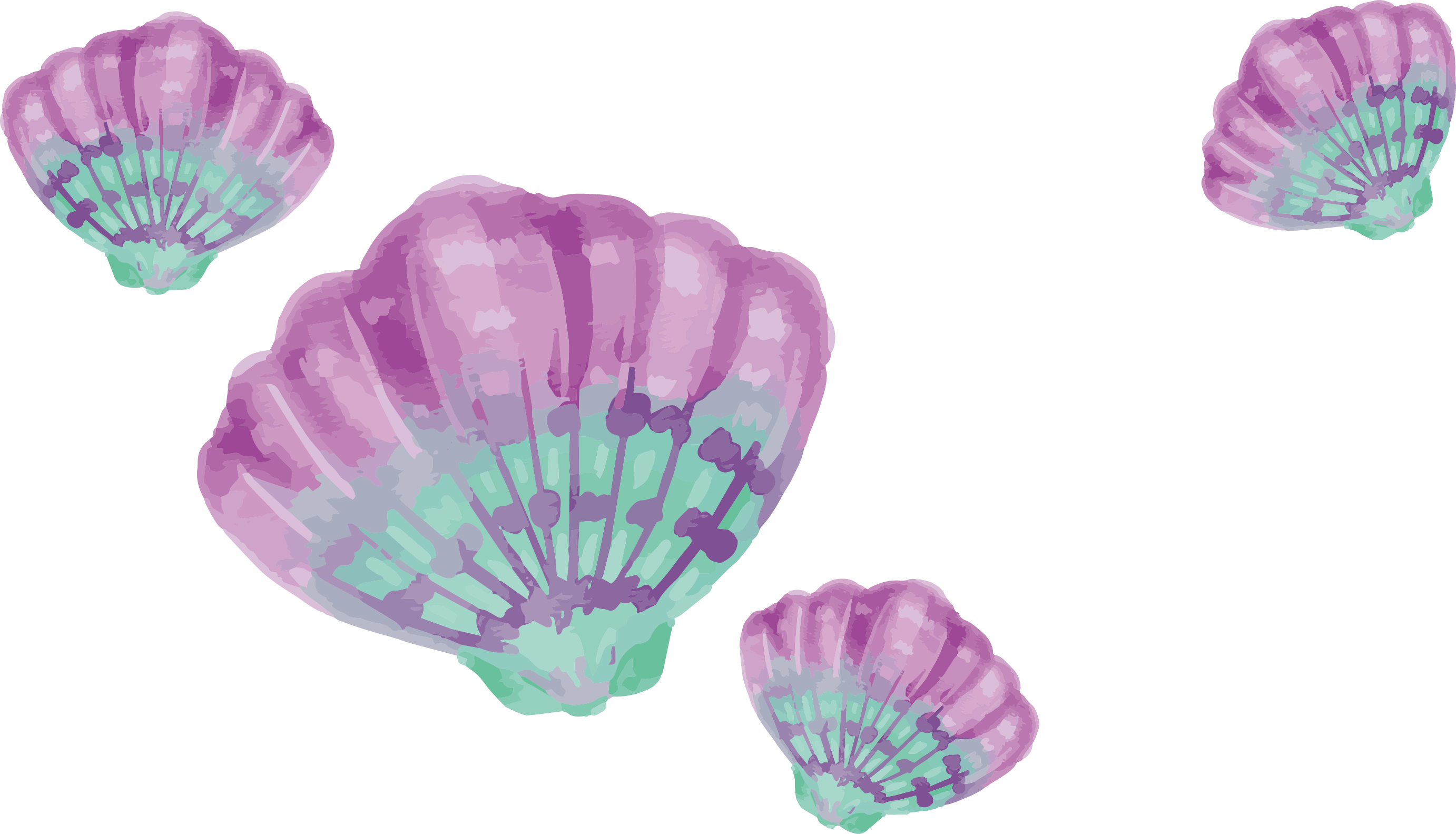 Painting Drawing Download Shells - Purple And Turquoise Shells (2764x1583), Png Download