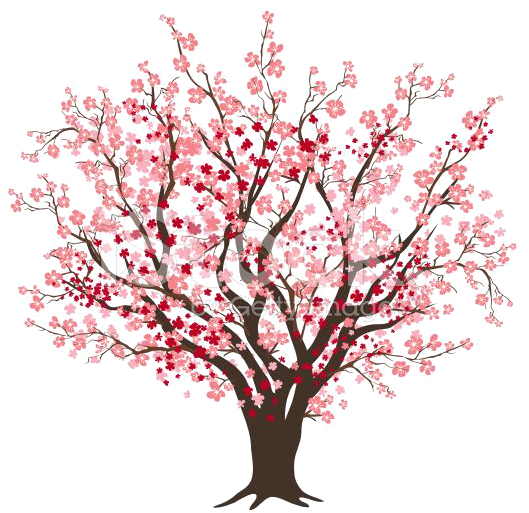 Image Freeuse Blossom Clipart Pretty Tree - Cherry Blossom Tree Clip Art (556x556), Png Download