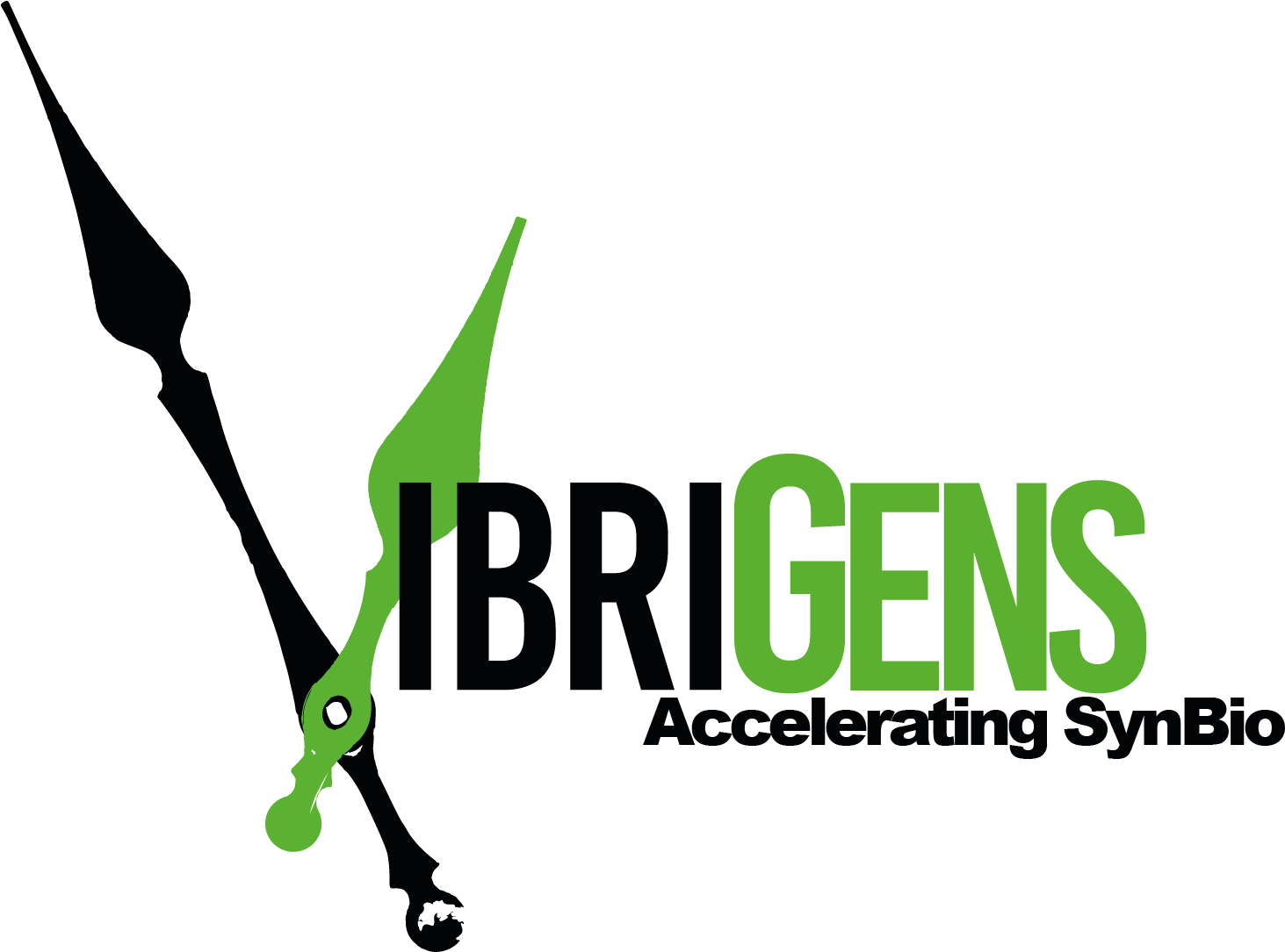 Wiki Happy Wheels Logo Transparent Png Wiki Happy Wheels - Graphic Design (1920x1191), Png Download