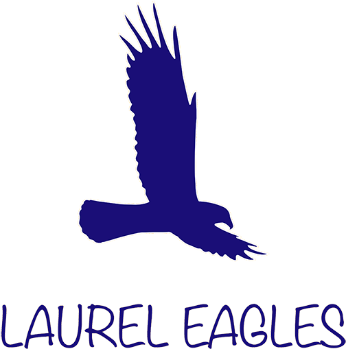 Auction - Laurelpta - Org - Hawk (600x601), Png Download