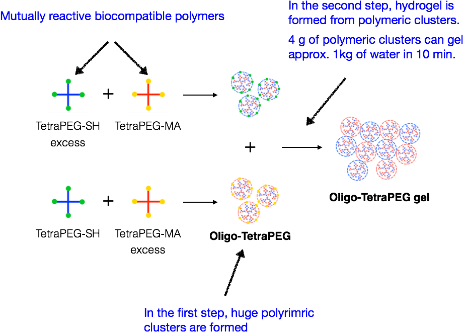 Developed The Hydrogel Oligo-tetrapeg With A Low Polymer - Diagram (943x676), Png Download