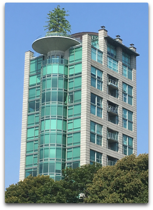Vancouver Tree - Tower Block (572x788), Png Download