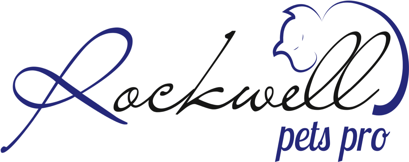 How To Tell Dog Ear Infection - Calligraphy (1472x647), Png Download