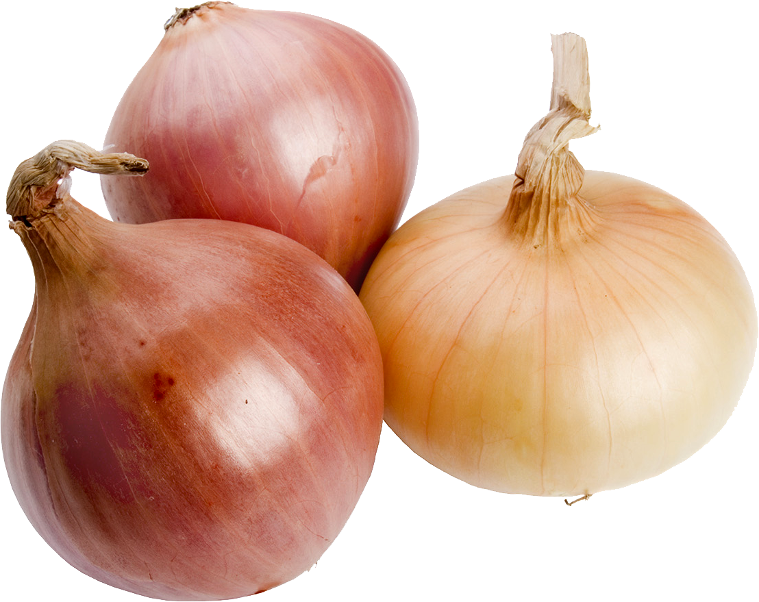 Tomatoes Onions Corn - Yellow Onion (1108x879), Png Download