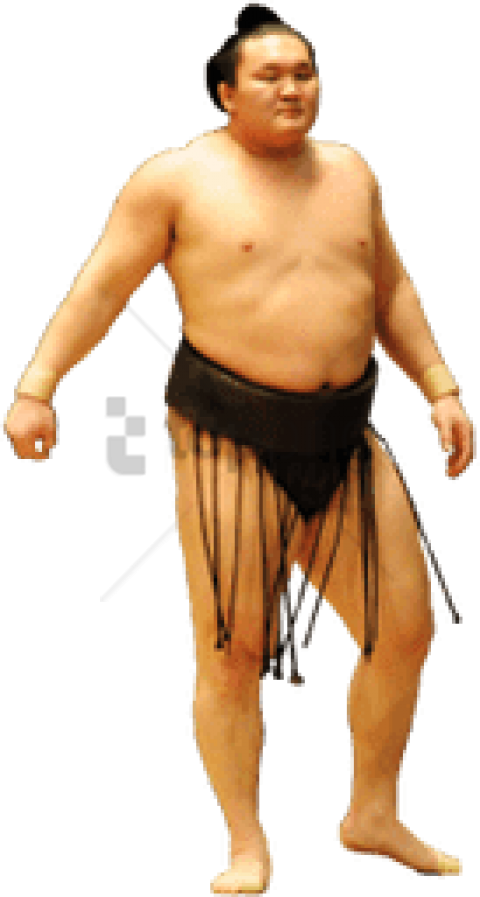Free Png Download Sumo Wrestler Standing Png Images - Barechested (480x897), Png Download