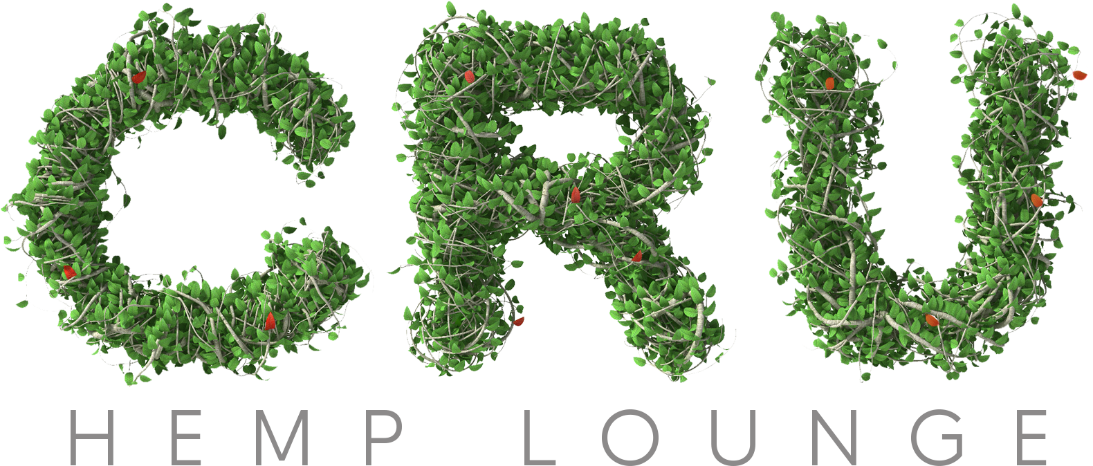 $200,000 - Holly (1791x842), Png Download