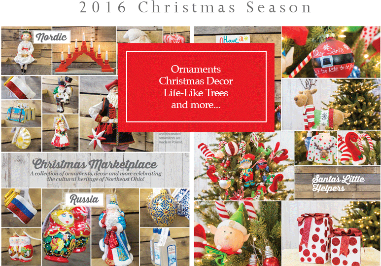 As You Walk Into Our Stores, You Will Be Transported - Cut Flowers (980x581), Png Download