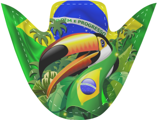 Brazil Flag With Toco Toucan Women's Unusual Slip-on - Toco Toucan With Brazil Flag Wall Tapestry - Small: (500x500), Png Download