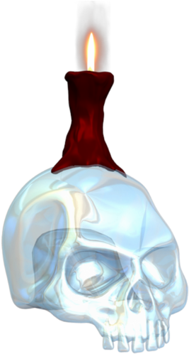 Bh-sdp2014 - Skull (303x500), Png Download