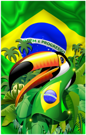Brazil Flag With Toco Toucan Poster 23*36 - Toco Toucan With Brazil Flag Wall Tapestry - Small: (500x500), Png Download