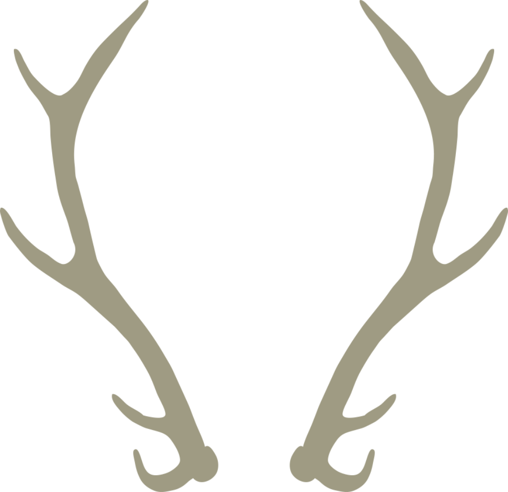 Cartoon Antler Flattened Vector - Elk Wreath (1024x992), Png Download