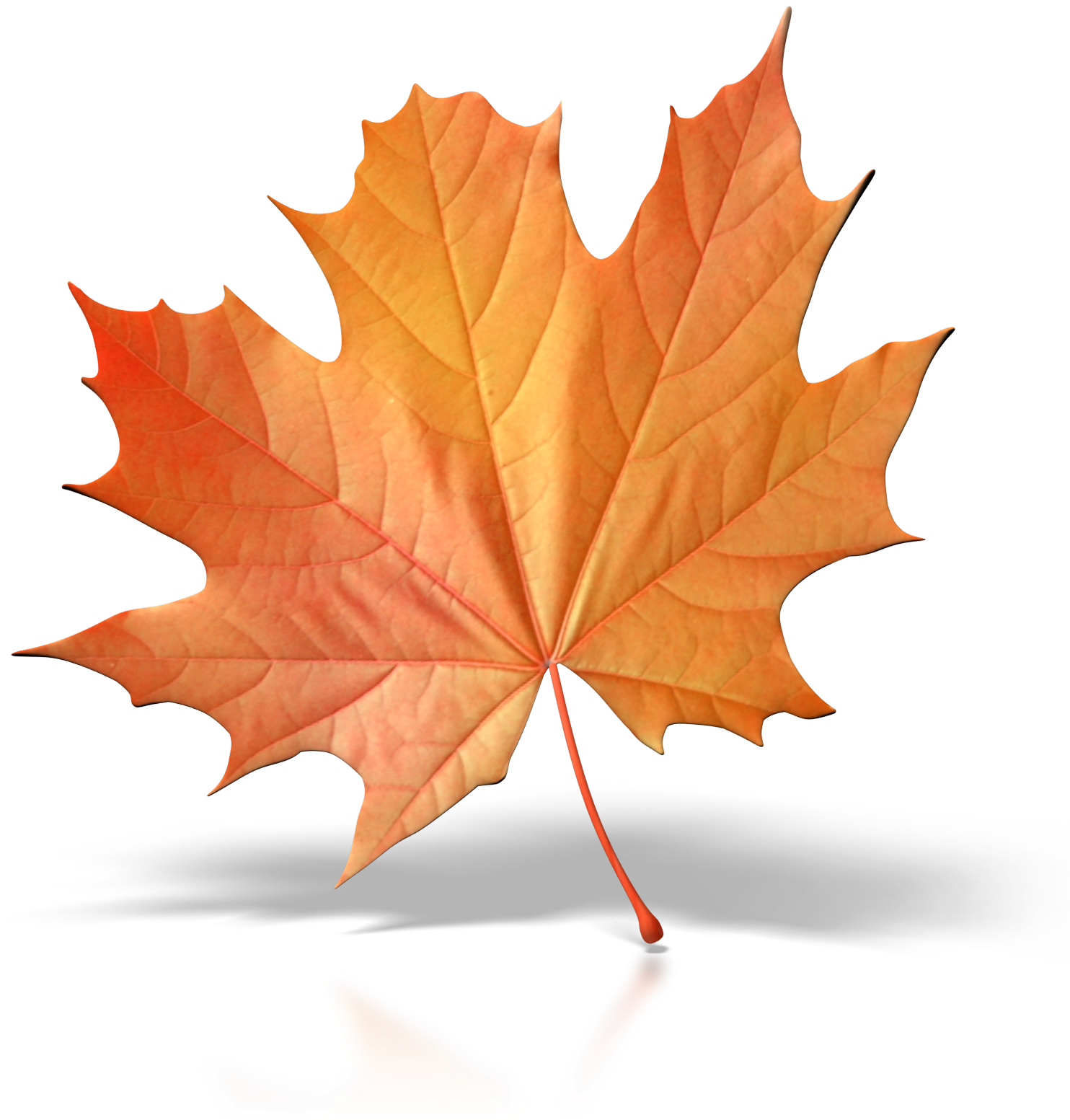 One Fall Leaf Png Clip Art - Brown Fall Leaf Clipart (1600x1600), Png Download