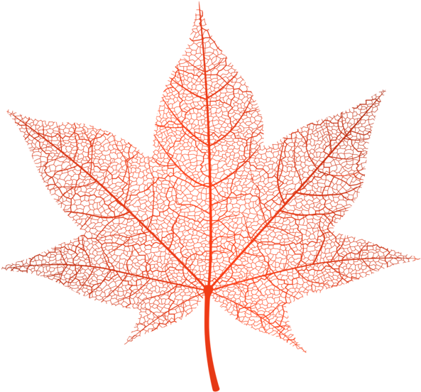 Transparent Red Autumn Leaf Png Clip Art Image - Pink Autumn Leaf Png (600x559), Png Download