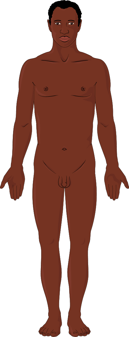 African Man - Illustration (423x1102), Png Download