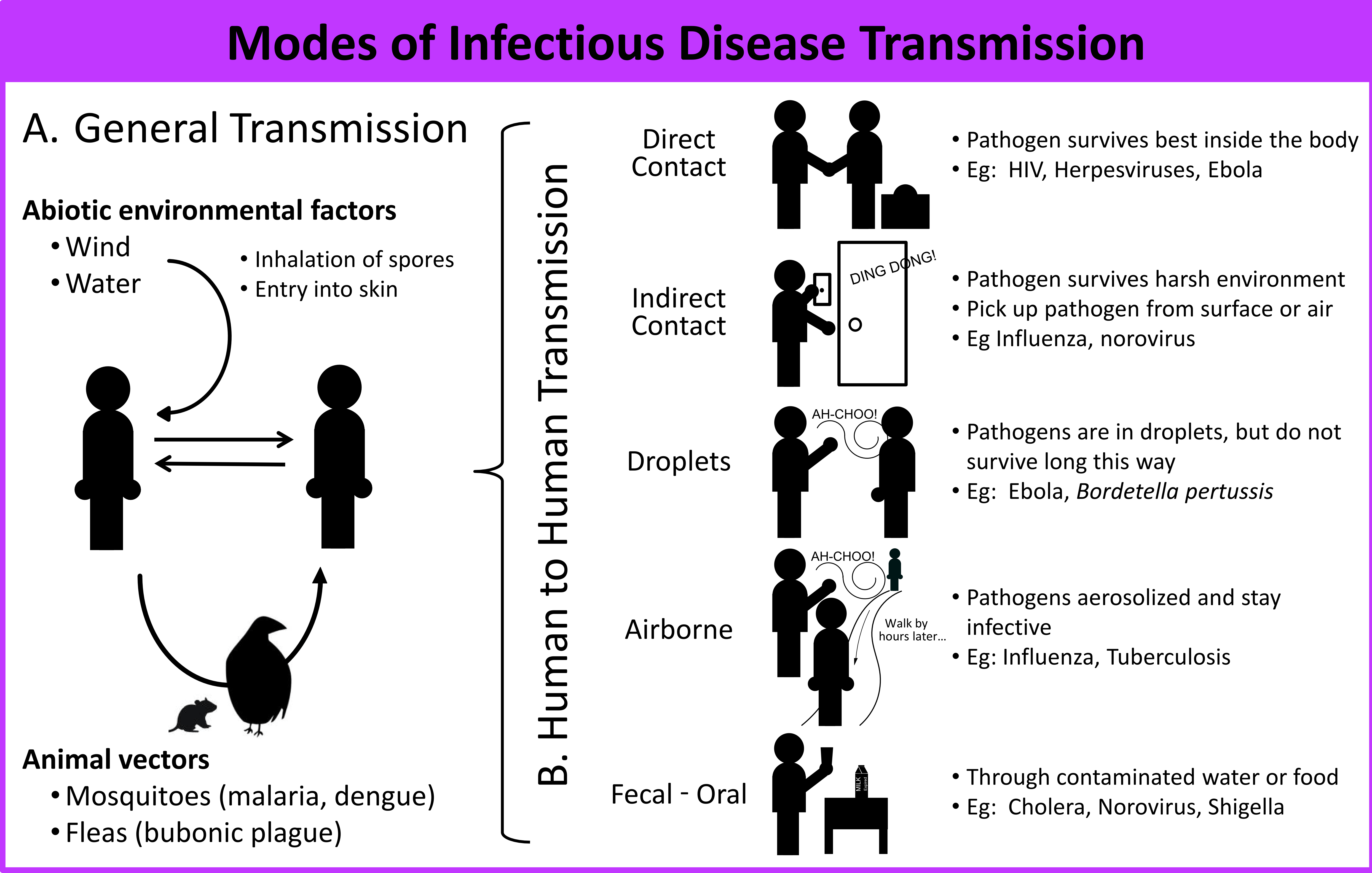 An Introduction To Infectious Disease - Direct And Indirect Infection Transmission (6000x3816), Png Download