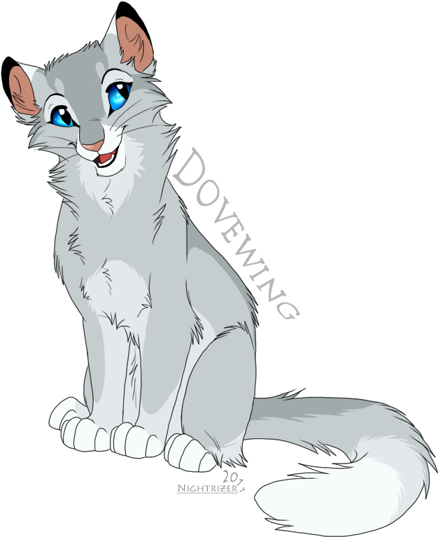 Dovewing - Warrior Cats Dovewing (648x792), Png Download