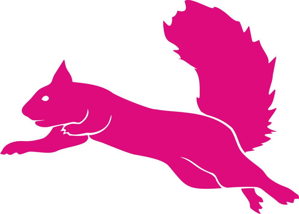 Only - Flying Squirrel Trampoline Logo (1000x716), Png Download