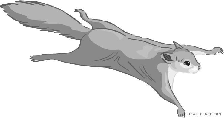 Flying Squirrel Png - Flying Squirrel Clip Art (750x396), Png Download