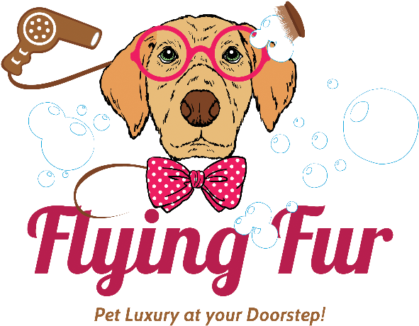 Flying-fur - Nerdy Dog Illustration With Glasses Pendant Necklace (800x565), Png Download