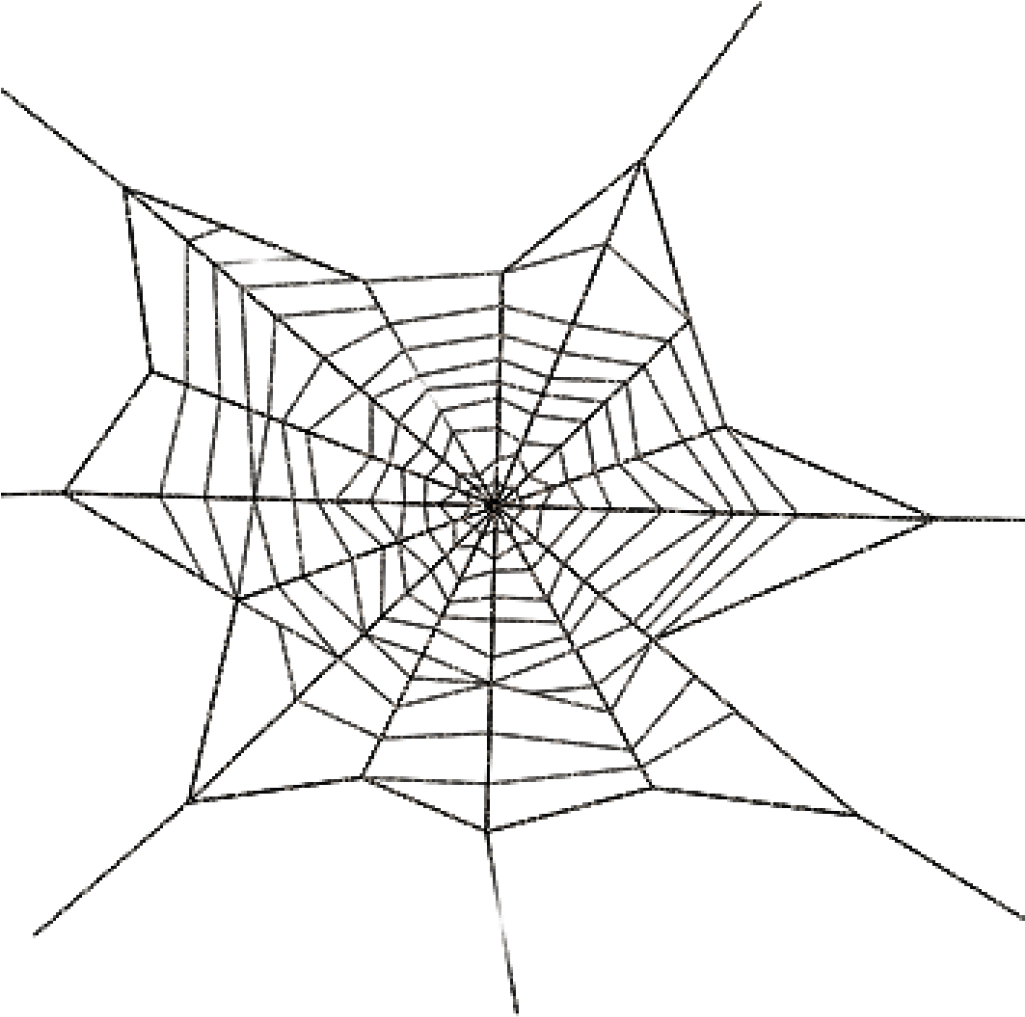 Spider Web Png Bear Clipart Hatenylo - Spider Web Transparent Png (1024x1024), Png Download