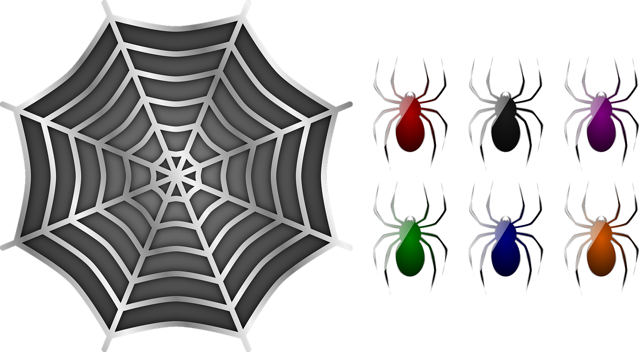 Spiders Spider Web - Badan Amal Tarbiah Sejagat (1280x706), Png Download
