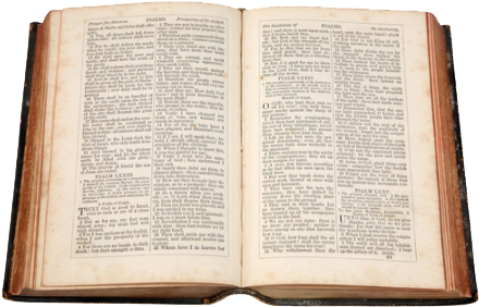 Open Bible Png - Open Bible Hd Png (450x298), Png Download