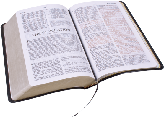 Open Bible Png - Open Bible No Background (585x419), Png Download
