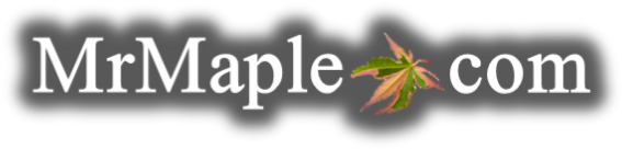 Mr Maple │ Buy Japanese Maple Trees - Rideau Hall (675x232), Png Download