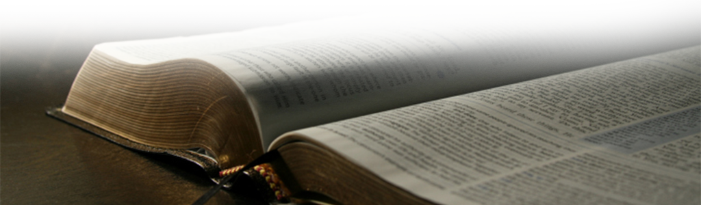 In Vain - Book (1024x300), Png Download