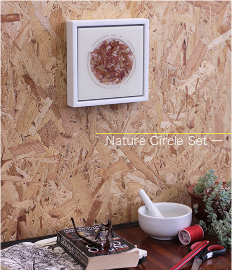 Nature Circle Set 1 Side Home Japanese Maple Gillies - Art (785x540), Png Download