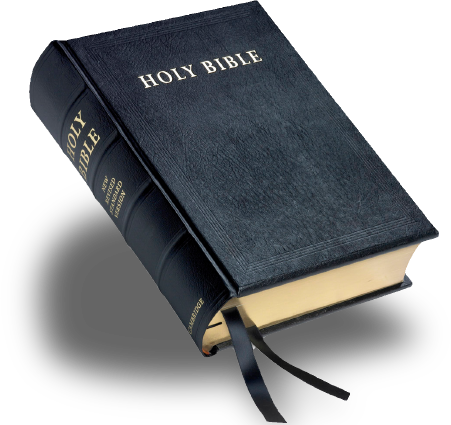 Holy Bible Png - Lectern Anglicized Bible-nrsv (451x425), Png Download