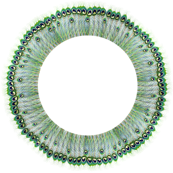 Round Frame, Peacock, Clip Art, Frames, Peafowl, Peacocks, - Transparent Circle Frame Png (598x600), Png Download