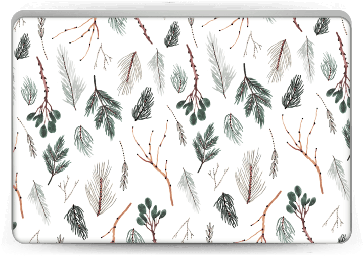 Pine - Laptop (800x533), Png Download