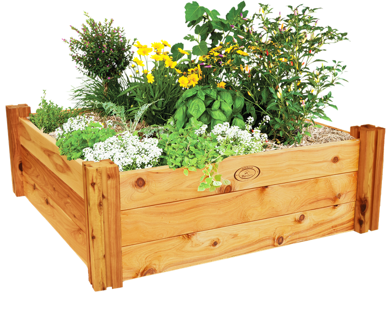 Raised Garden Beds Bunnings (800x800), Png Download