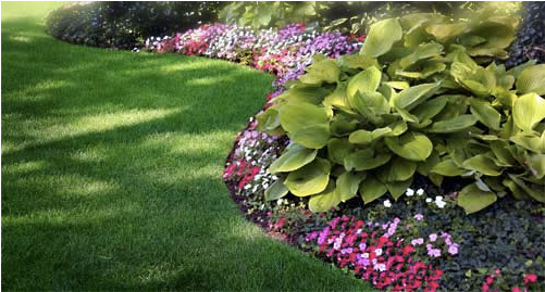 Flower Bed Ideas - Edge Of Flower Bed (500x350), Png Download