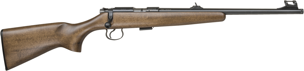 Cz 455 Scout - Cz 455 Scout 22lr (1070x713), Png Download