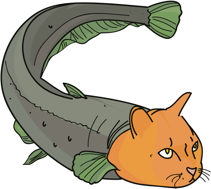 Random Facts With - Cartoon Cat Fish (1024x668), Png Download