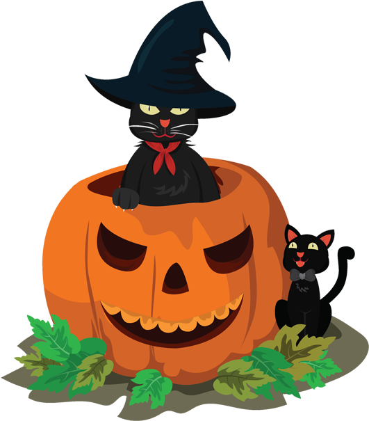 Strayfm Hallow Trick Or Treat - Pumpkin Easy Cat (620x620), Png Download