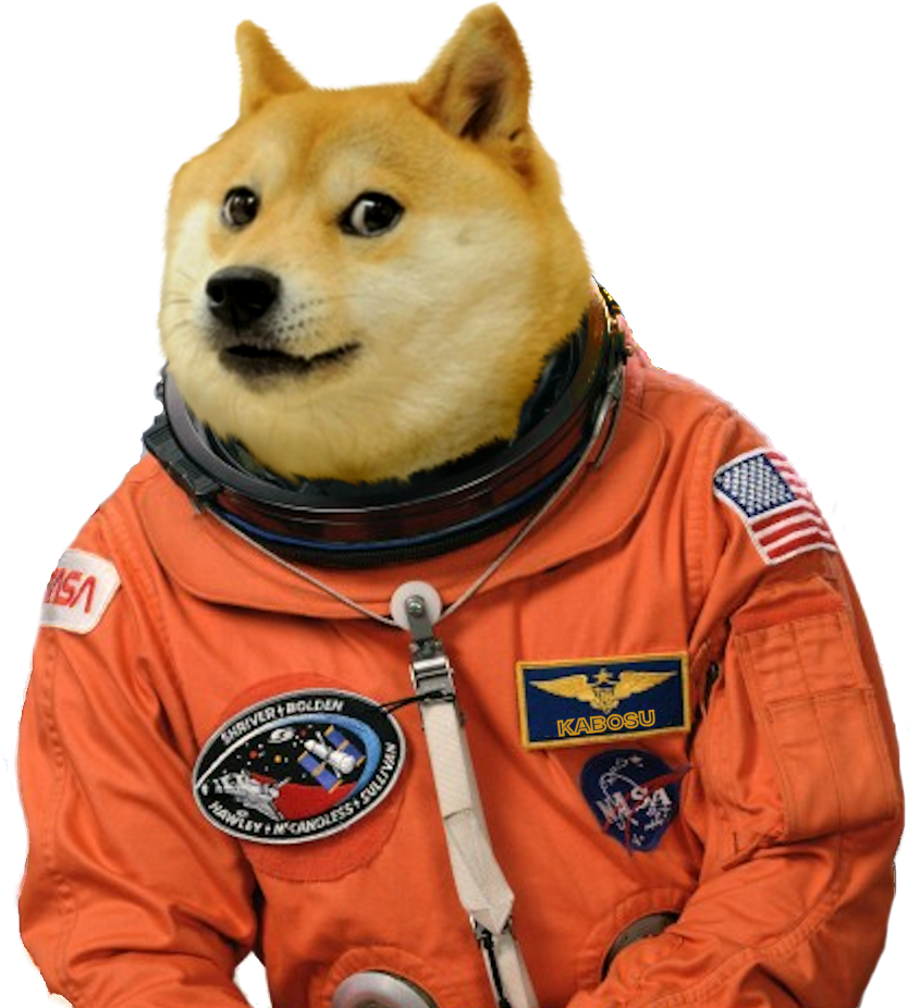 Wow Much Doge Png - Memes Para Sticker De Whatsapp (954x1044), Png Download