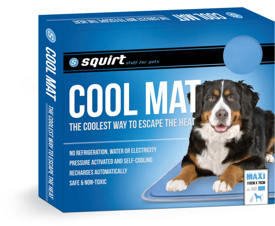 Squirt Cool Mat - Bernese Mountain Dog (1024x1024), Png Download