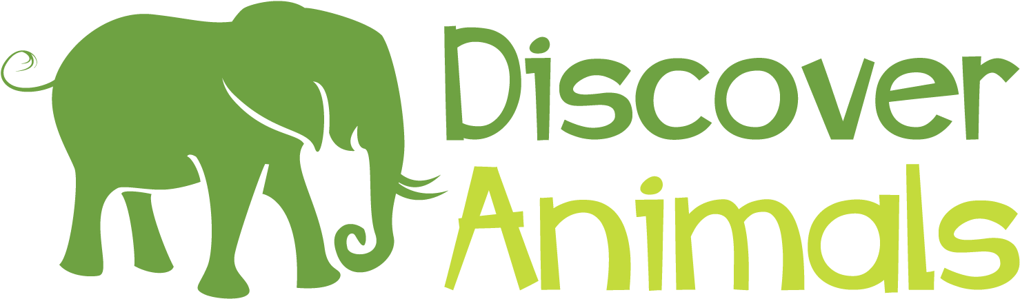 Discover Animals - Discover Animals Logo (1478x445), Png Download