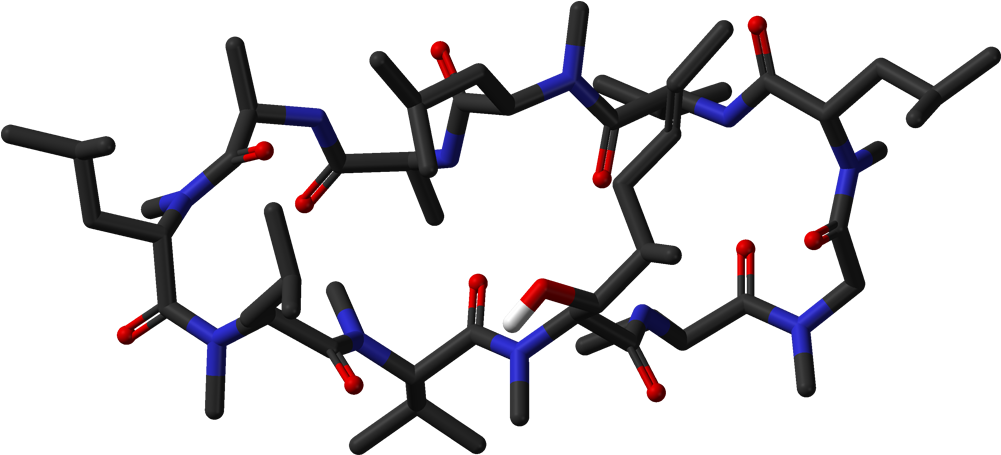 Ciclosporin A Neutron 3d Sticks - Cyclosporin A 3d (1100x554), Png Download