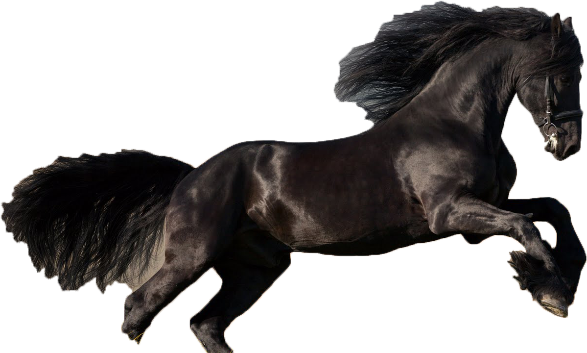 Personaje Caballo Desbocado - Arab Horse (1600x1000), Png Download