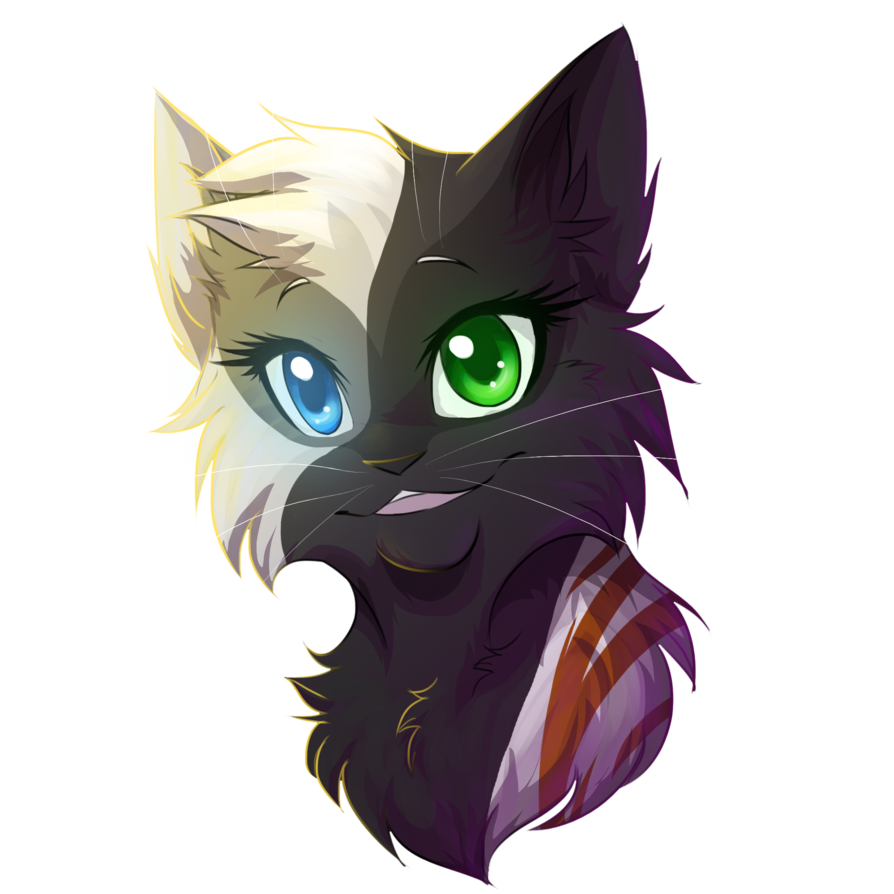 Shadows-0 - Warrior Cat Head Drawing (894x894), Png Download