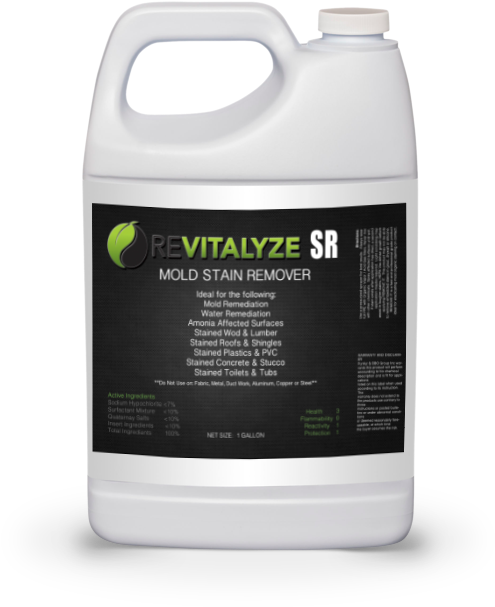 Revitalyze Sr - Insect (500x700), Png Download