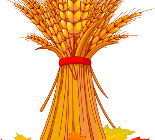 Stalk Clipart Wheat Stalk - Fall Corn Stalk Clipart (640x480), Png Download