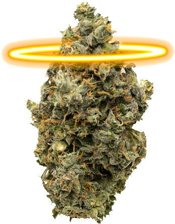 Police End Sting Operations - Golden Monkey Tea (960x576), Png Download