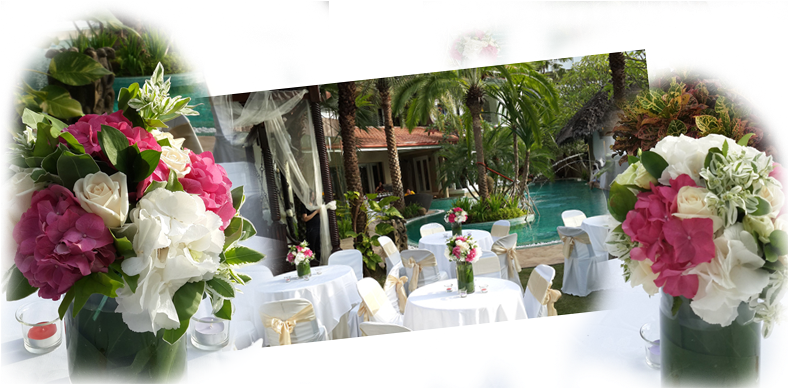 Welcome To Hock Nam Hin Fruits, Flowers & Gifts Ipoh - Garden Roses (800x400), Png Download
